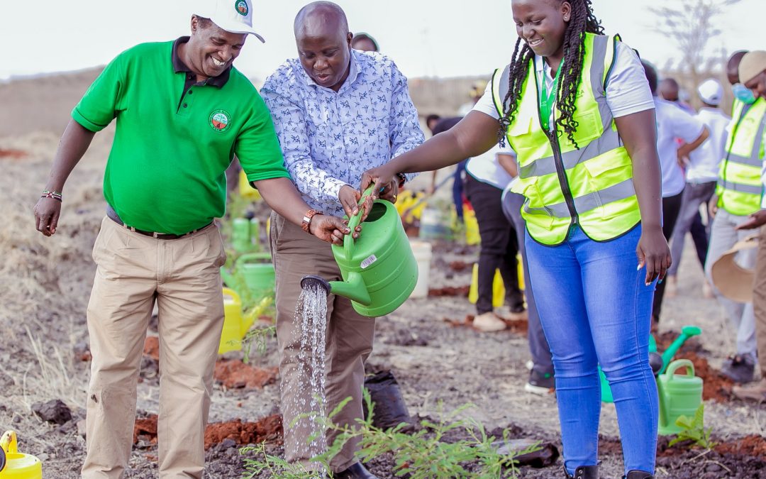 Campaign to Plant 20,000 Trees in Two Months Kicks Off at Konza Technopolis
